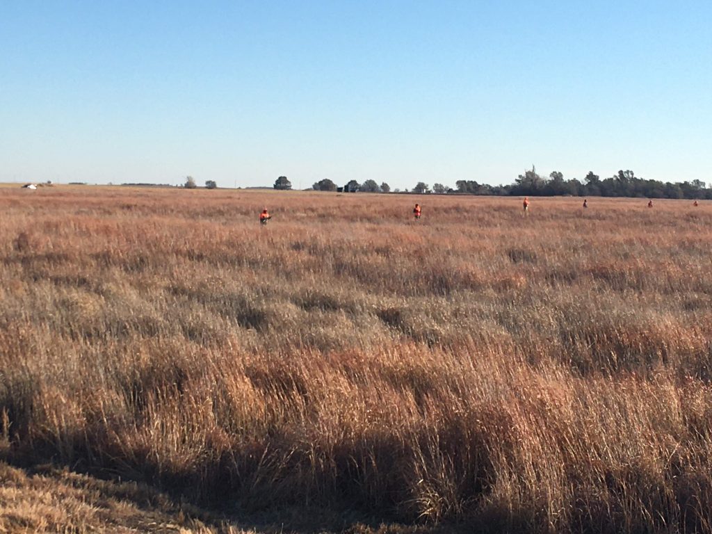 Hunters in field
